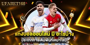 แทงบอลออนไลน์ มี อะไรบ้าง ประเภทการเดิมพันที่เหมาะสม